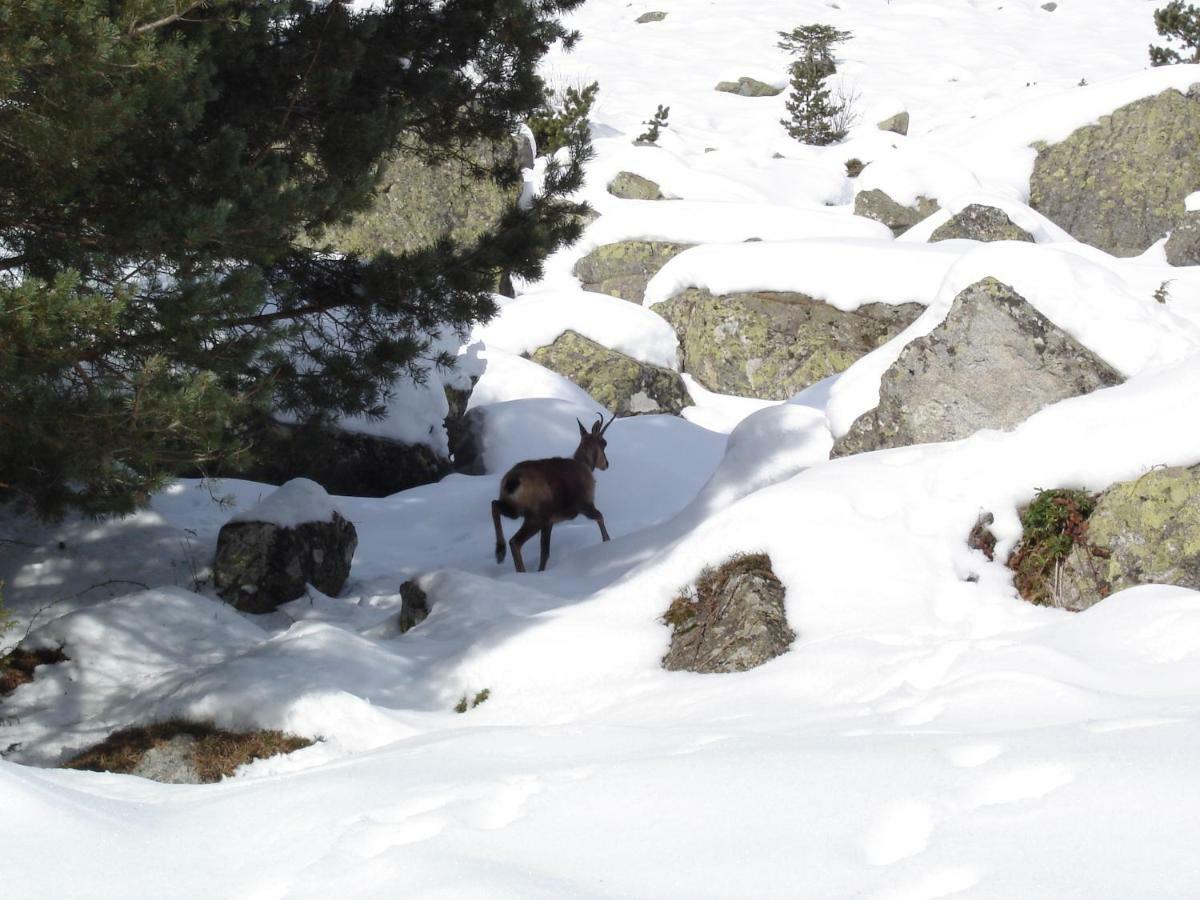 Vacances Perennes Cauterets Dış mekan fotoğraf